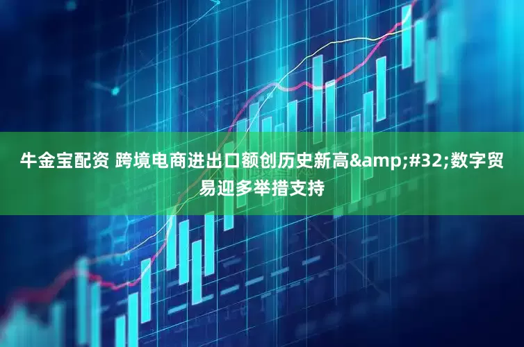 牛金宝配资 跨境电商进出口额创历史新高&#32;数字贸易迎多举措支持